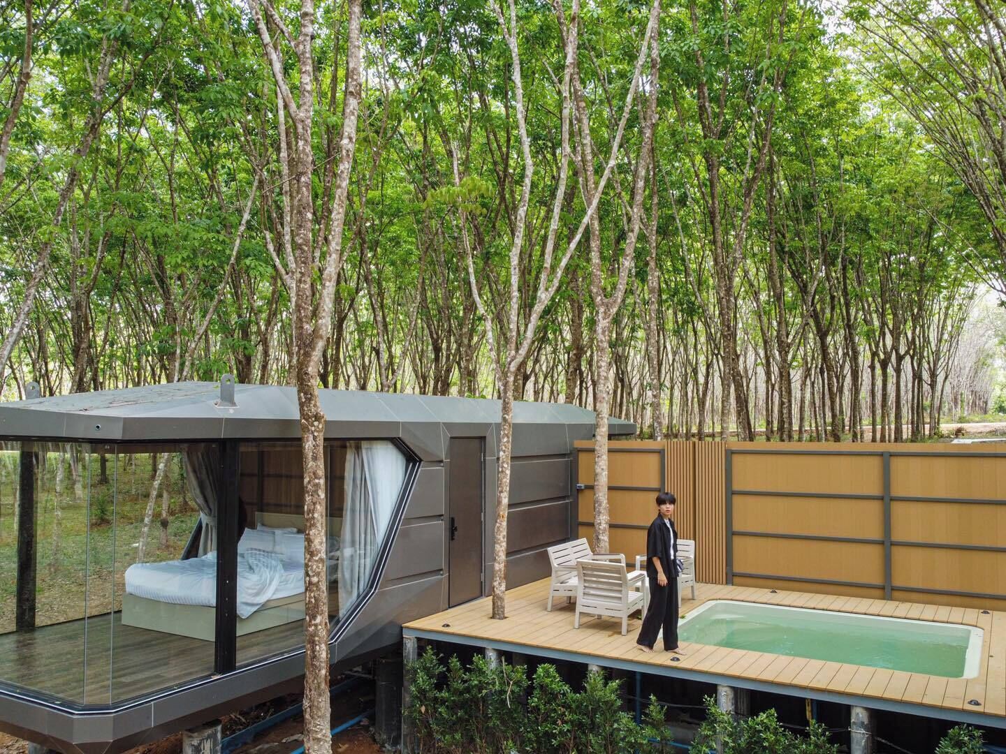 Een moderne boomhut met een glazen omheining, een houten terras en een zwembad.