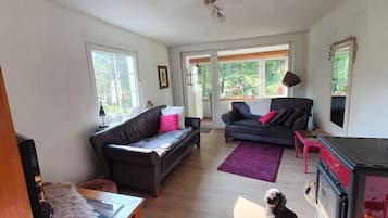 Fernseher, Kamin, Tischtennisplatte, Stereoanlage