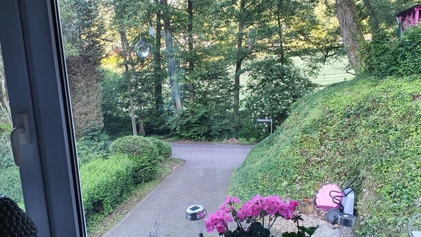 A pathway surrounded by greenery, a lantern, and a pink chair.