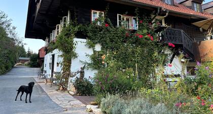 Appartement "Sechtlberggut" avec vue sur les montagnes, balcon et Wi-Fi