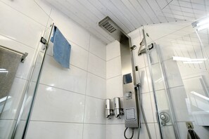 Shower, hair dryer, towels - Apartment 'Apfelstübchen' with Mountain View and Wi-Fi (Friedrichshafen)