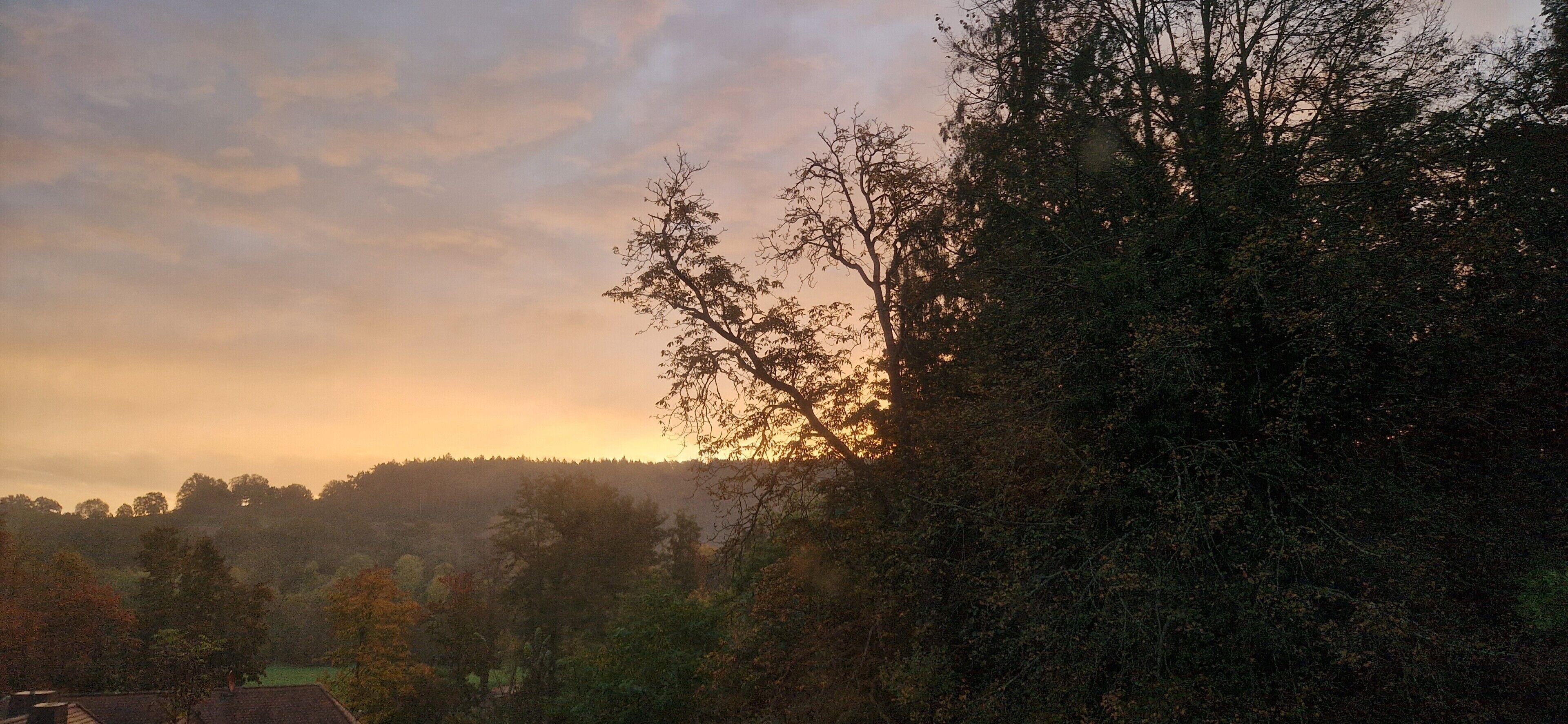 A landscape with trees and a sunset.
