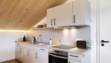 Kühlschrank, Ofen, Herdplatte, Geschirrspüler