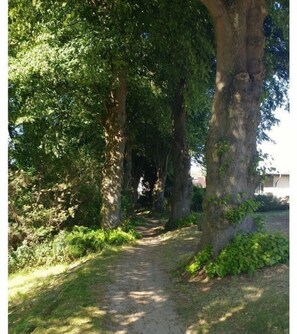 Property grounds - am Schilfweg Comfortable holiday residence (Warin)