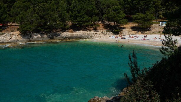 A beach with clear turquoise water, a sandy shore, and dense green trees in the background.
