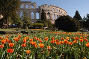 Terrein van de accommodatie