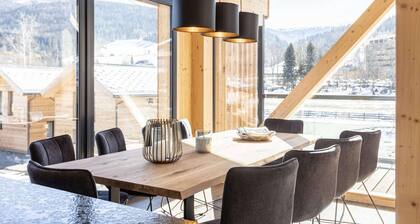 Joli penthouse avec sauna (sans dépÎt)