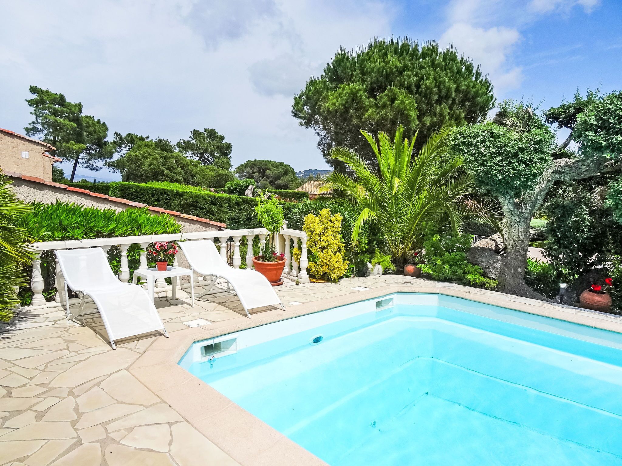 Une piscine dotée d’une terrasse blanche, entourée de plantes en pot et d’arbres.