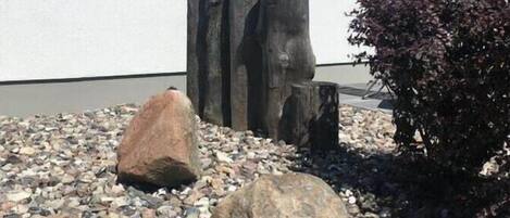 المنطقة المحيطة بالمنشأة