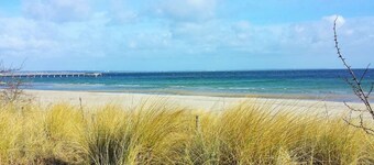 Raphael - "Marilyn Monroe"