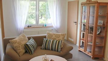 Smart TV, DVD player, books, stereo