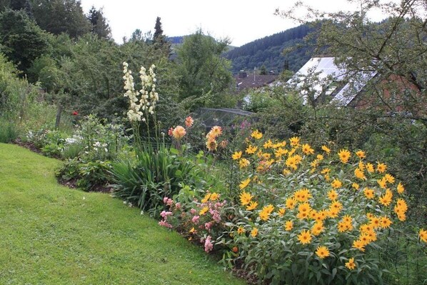 Terrain de l’hébergement 