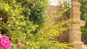 A stone fountain with steps, surrounded by lush greenery and pink flowers. - terrance apartment - air conditioning | 5 minute sea | - VinTage Malvasia (Diso)