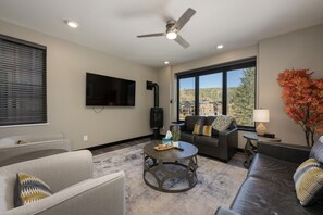 Smart TV, fireplace, computer monitors