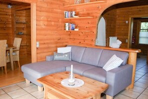 TV connectée, cheminée, lecteur de DVD, livres