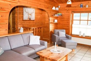 TV connectée, cheminée, lecteur de DVD, livres