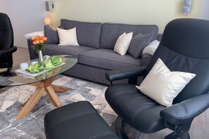 Télévision, cheminée, lecteur de DVD, chaîne hi-fi
