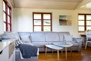 スマートテレビ、暖炉、書庫、ステレオ