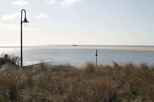 Neptuno en la onda Amrum