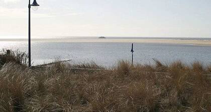 Neptune in the Amrum Wave