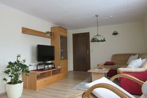 Smart TV, fireplace, books