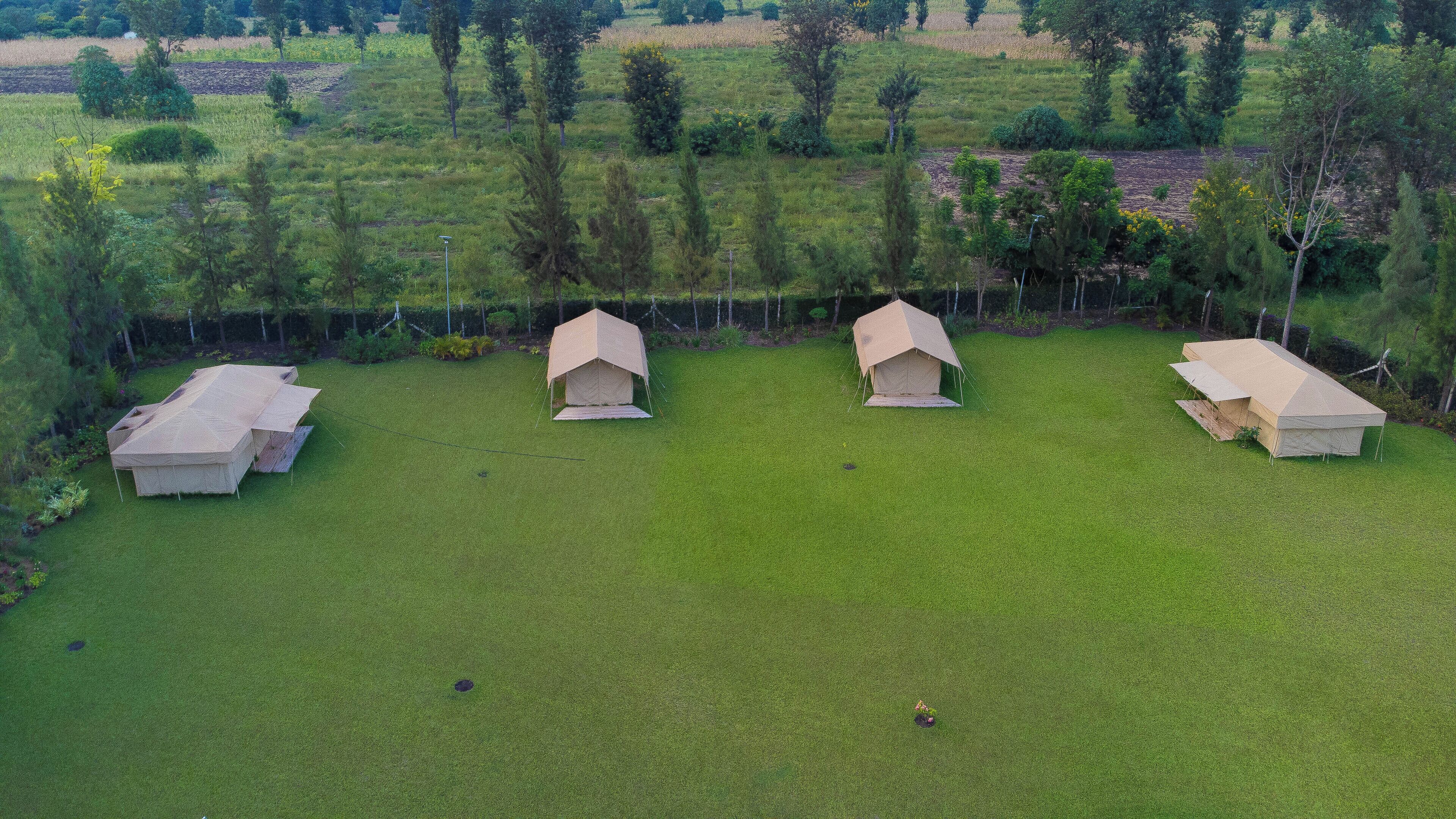 A grassy area with four tents arranged in a row.