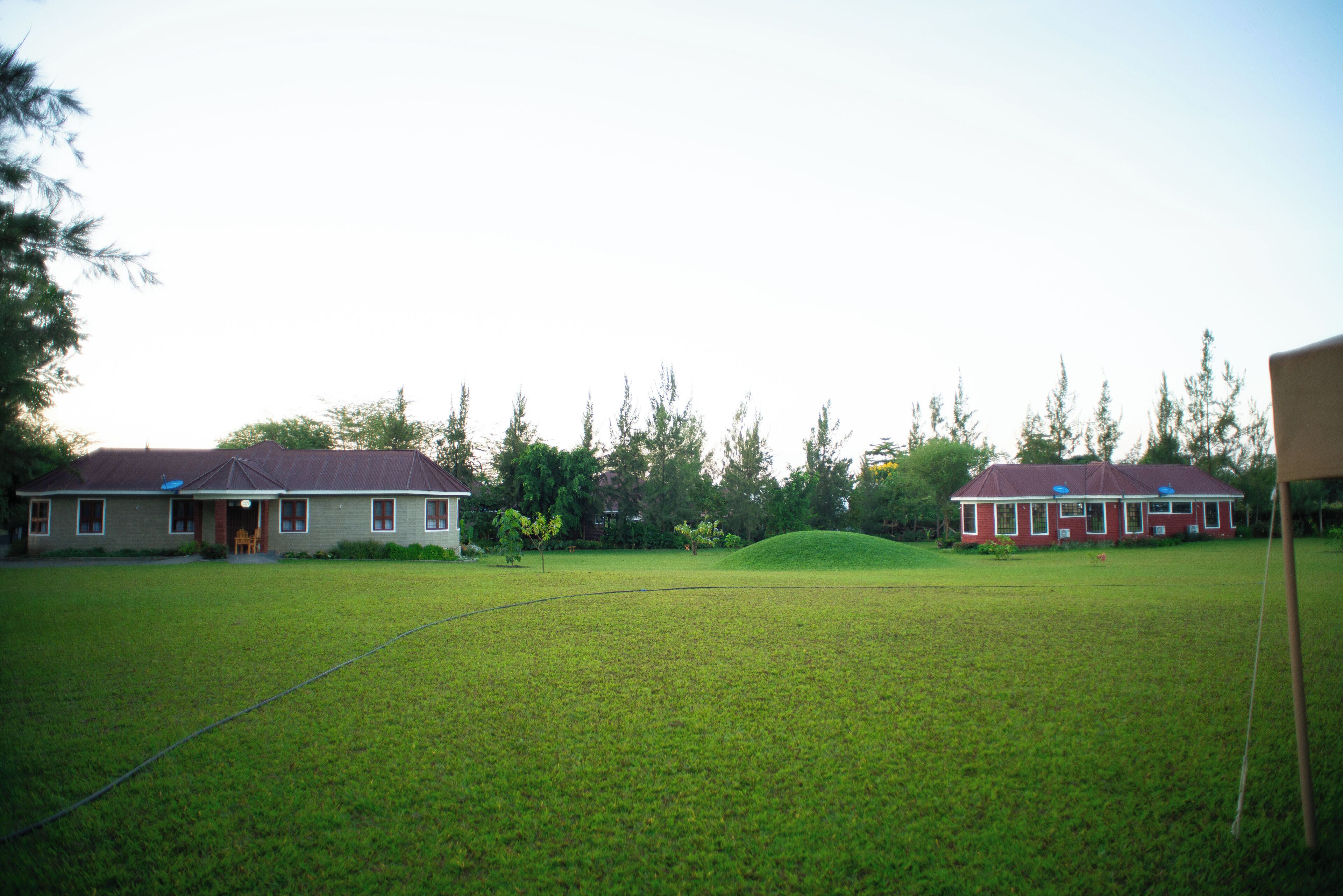 A grassy area with two houses, one with a red roof and another with a grey roof, surrounded by trees.