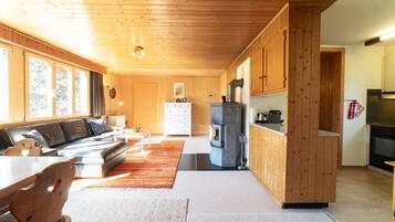 Fernseher, Kamin