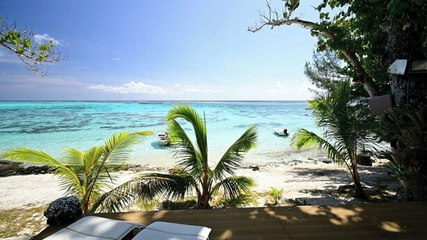 A beach view with clear turquoise water, palm trees, and a wooden deck with lounge chairs.