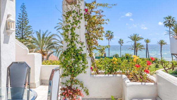 A balcony with a glass table, potted plants, and a view of the ocean and palm trees.
