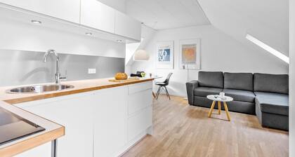 1 bedroom awesome apartment in Svaneke