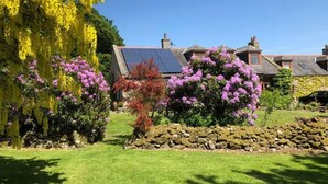 A house with solar panels, a stone wall, and flowering plants.