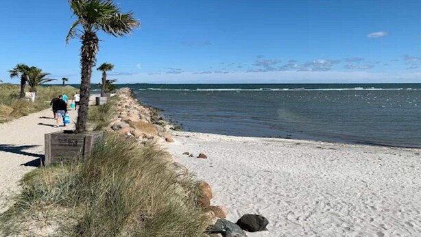 A sandy beach with palm trees and a clear blue sky. - 4 Person Holiday Home in Frederikshavn (Frederikshavn)