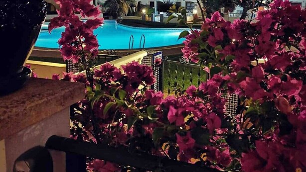 Een nachtzicht van een zwembad omringd door roze bougainvillea, met gebouwen op de achtergrond.