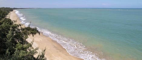 在海滩