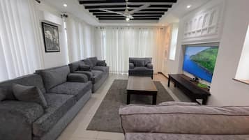 Flat-screen TV