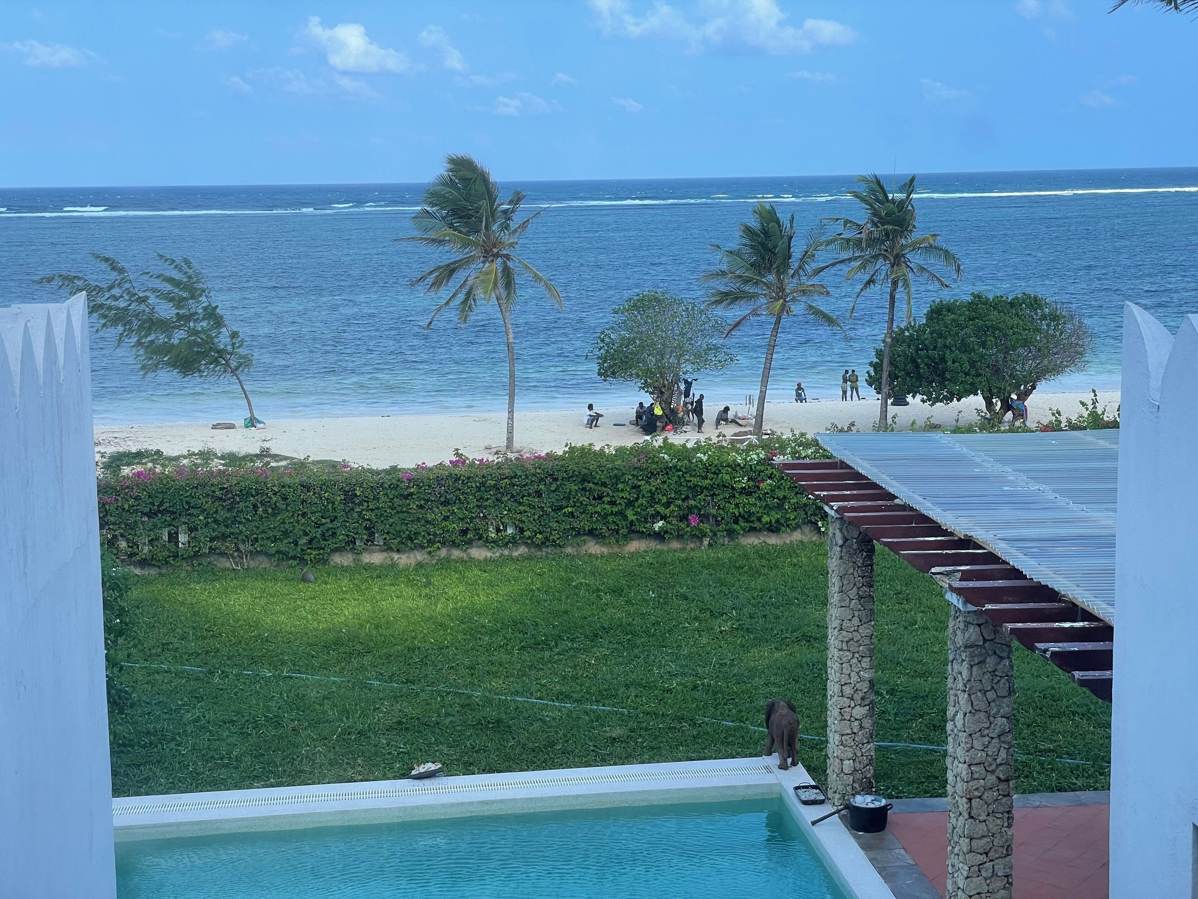 On the beach, white sand