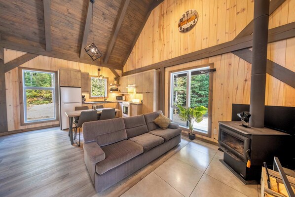 TV, fireplace, offices