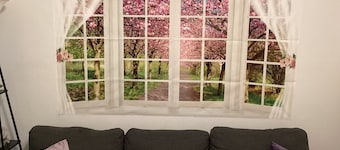Colwins #4 For Families/Couples/Singles Sleeps 4