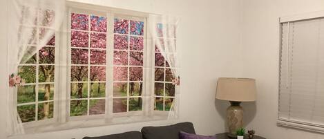 Smart TV, books, offices