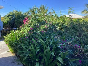 Property grounds - Colwins #4 For Families/Couples/Singles Sleeps 4 (Grand Turk)