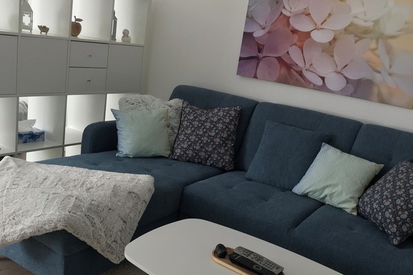 Wohnzimmer mit Schlafsofa