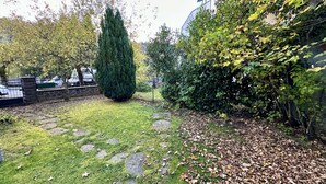 Un jardín con un camino de piedra, un alto árbol de hoja perenne y un follaje denso.