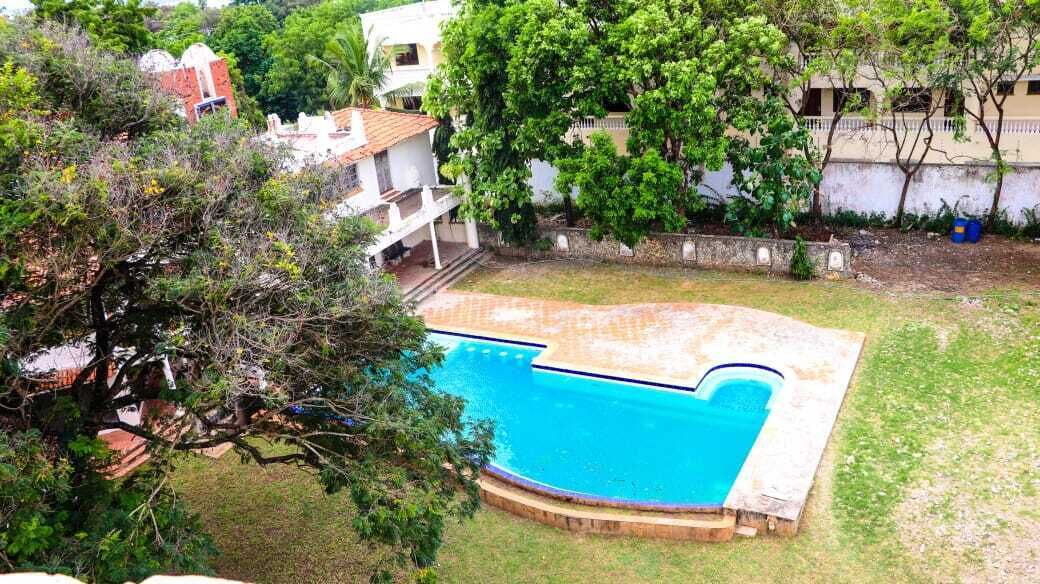 A swimming pool surrounded by a grassy area with trees and a white building in the background.