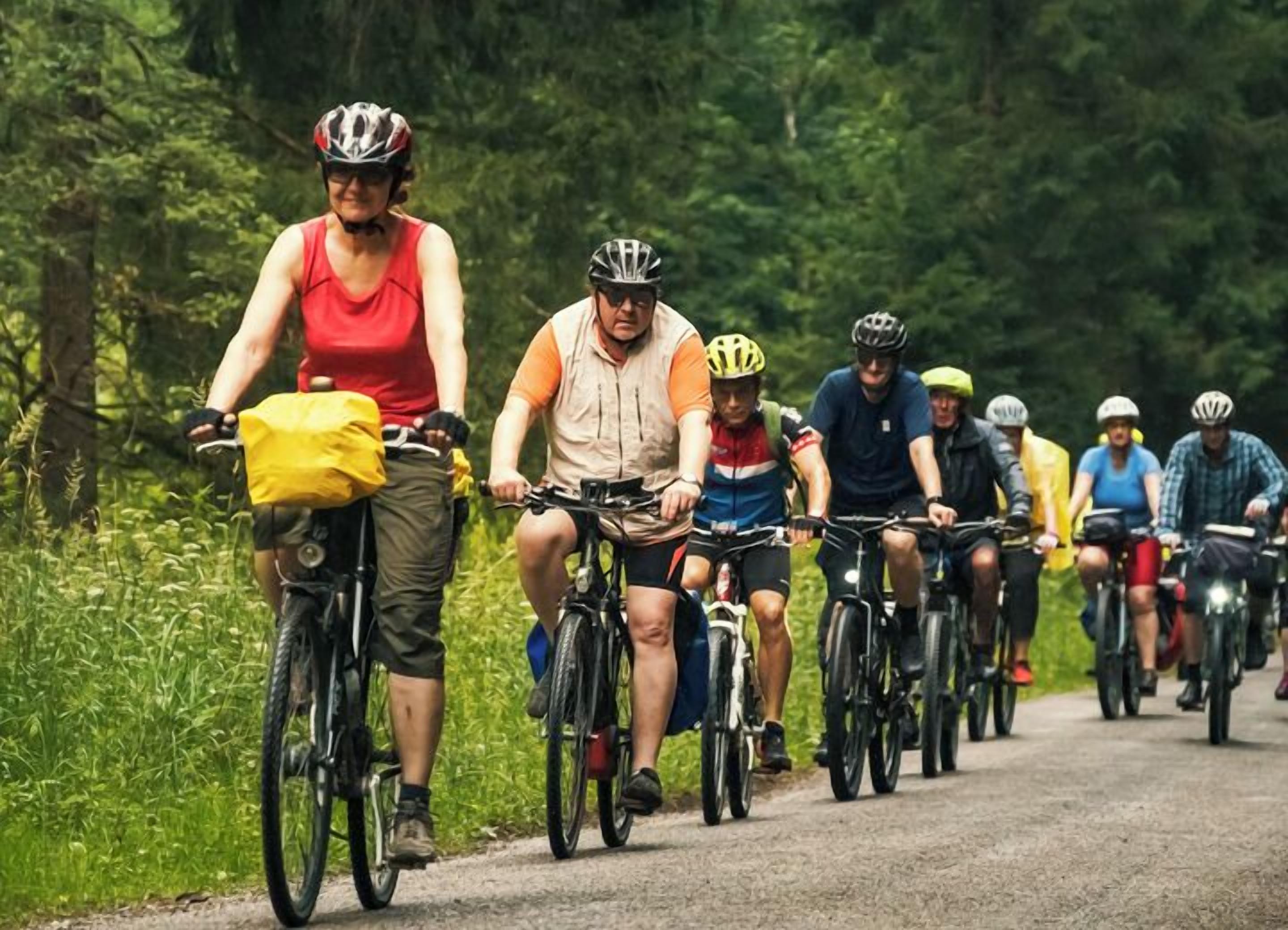 A group of cyclists on a paved road surrounded by greenery.