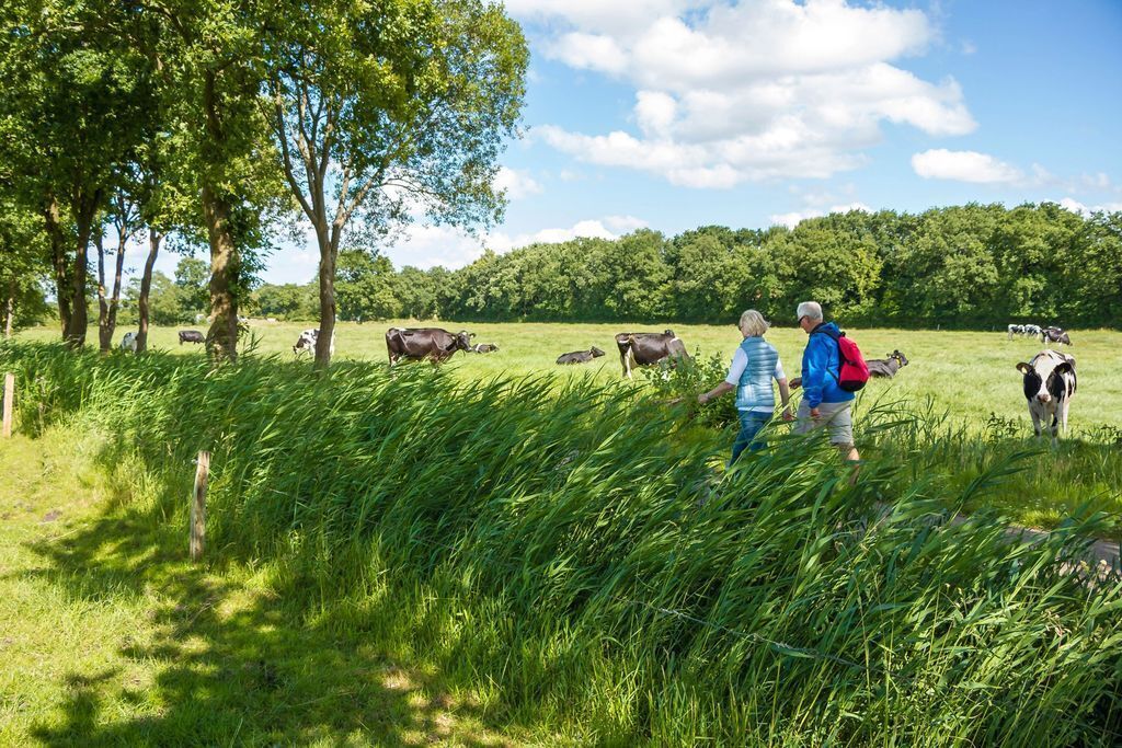 A rural landscape with a field of cows and a few people walking through the grass.