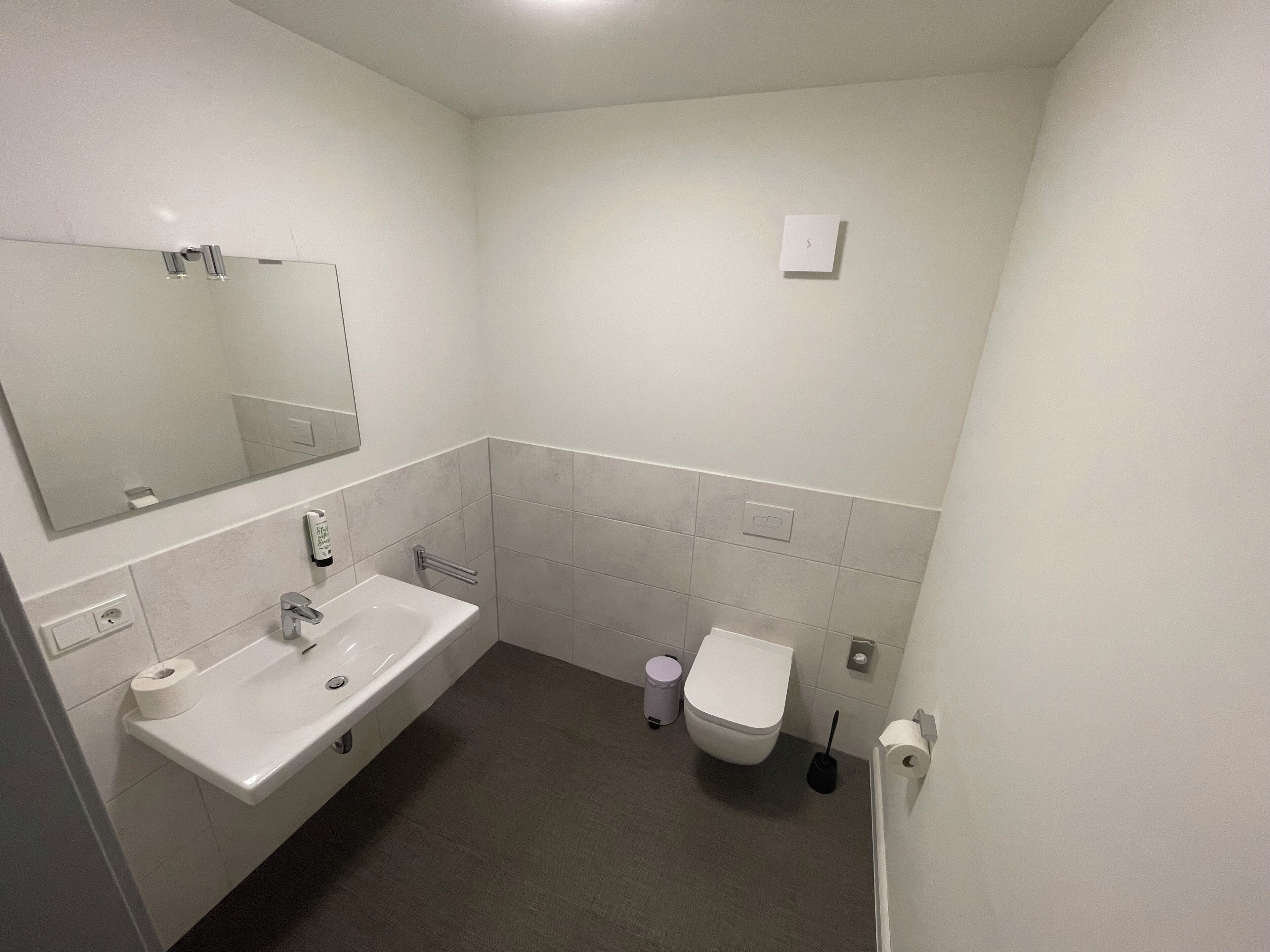 Un baño con lavamanos, espejo, inodoro y un cesto de basura.