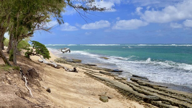 A beach with clear skies, ocean waves, and a tree on the left. - Kauai Plantation Hale Suites E12 1 Bedroom Condo (Kapaa)