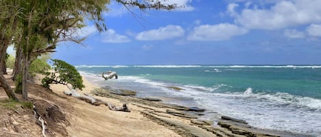 Condo, 1 Bedroom | Beach