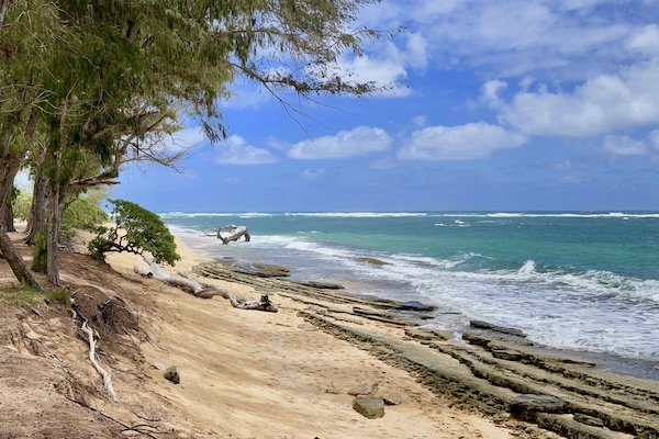 Condo, 1 Bedroom | Beach